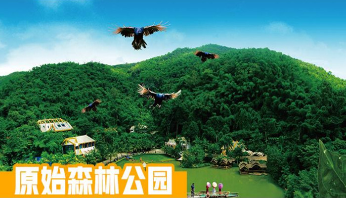 北京版纳6日游推荐,昆明·普洱·版纳,普洱茶马古道国家公园,万亩茶园 野象谷 告庄星光夜市 原始森林公园-花卉园-傣族村寨