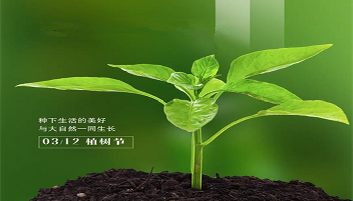 怀柔青龙峡旅游1日游,红螺寺+青龙峡植树场地,怀柔吃农家乐,企业团建定制