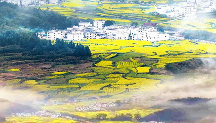 北京江西全景旅游7日游 庐山 三清山 望仙谷（白+黑）婺源篁岭 弦高古城 景德镇 