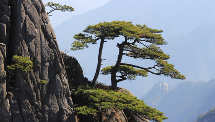 北京庐千黄旅游报价8日游 庐山/望仙谷/黄山风景区/水墨宏村/婺源篁岭/千岛湖/景德镇/徽州古城