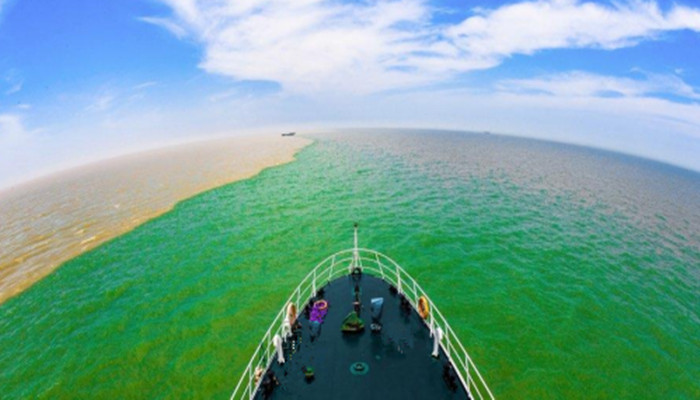 北京到山东旅游3日游 魏氏庄园+黄河口生态景区+黄河文化馆+华八井